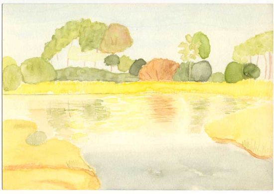 Aquarel-Moeras