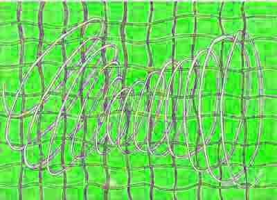 Zjing-groen