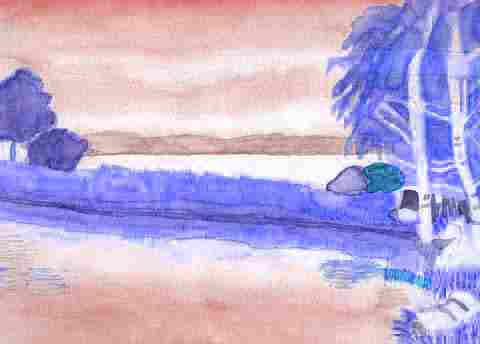 Paadje-blauw