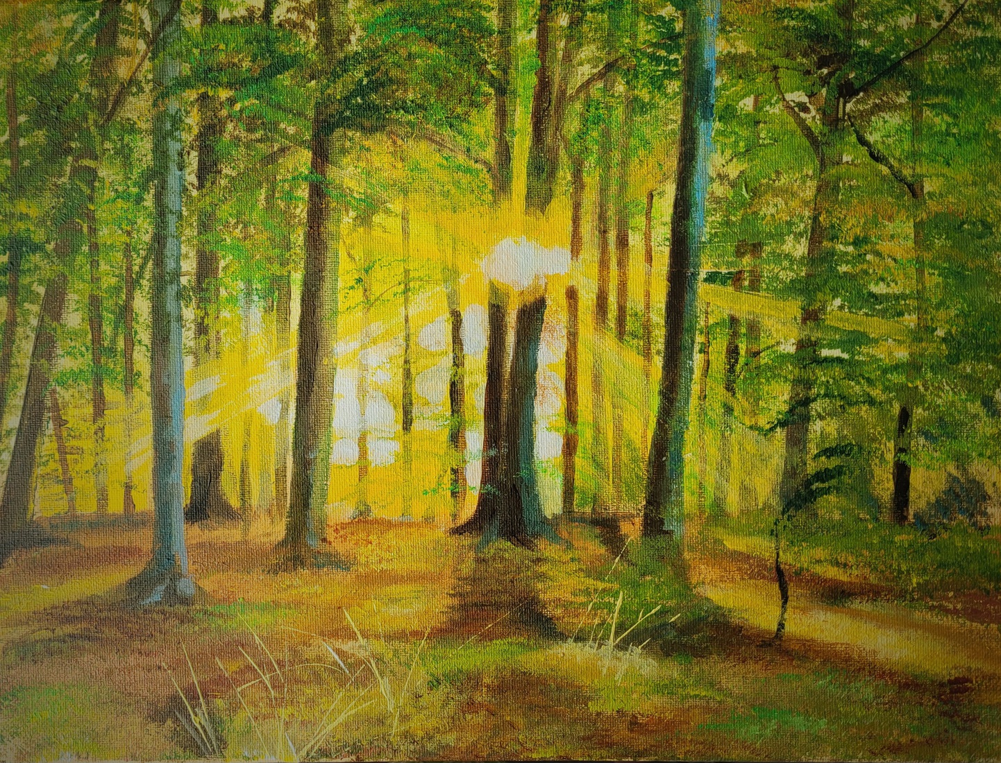 Zonnestralen