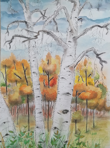 Kalligrafie, diverse lettertypes. Gedichten, verhalen en woorden geplaatst in een compositie ingevuld met stift, inkt, potlood, pastelpotlood, gouache en aquarel.