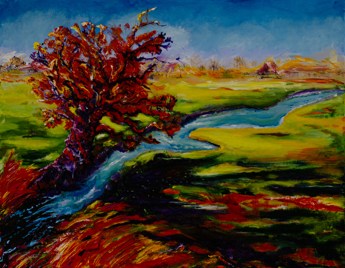 Landschap Bergen, NH