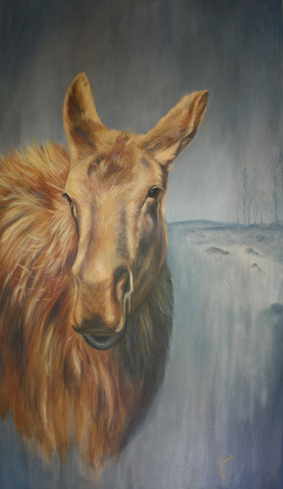 eland
