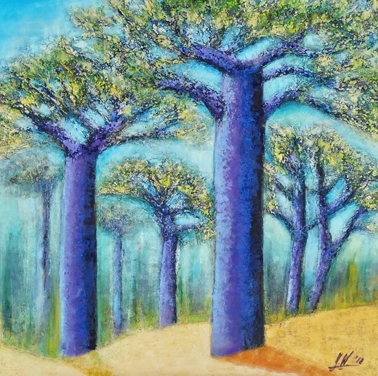 Baobab bomen