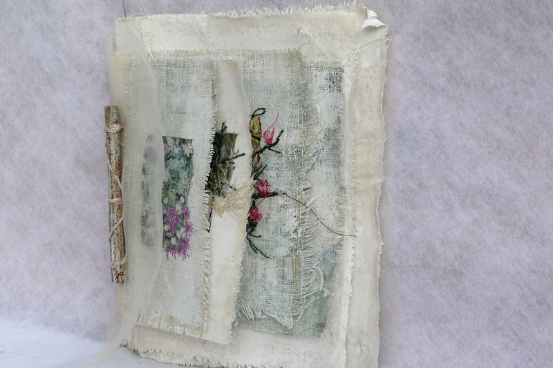 Garden glimpses - Book