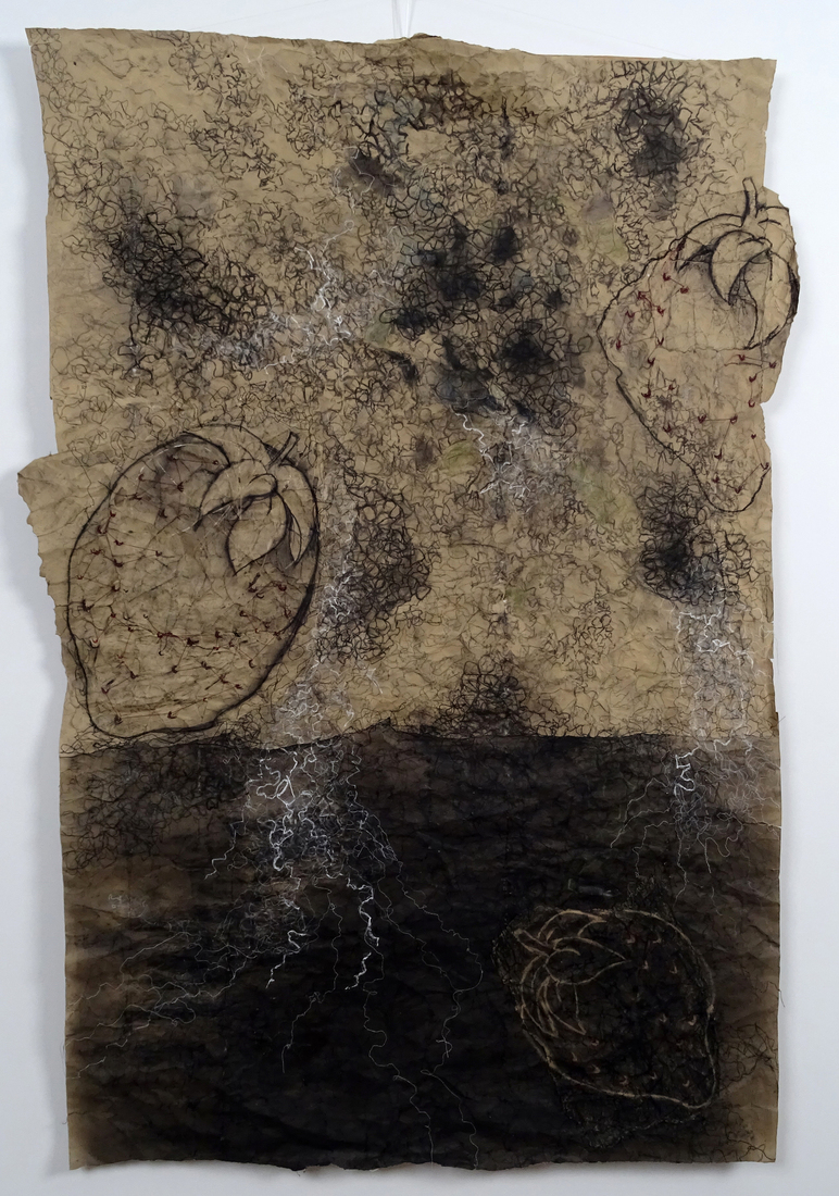 Aardbeien - Houskooltekening 