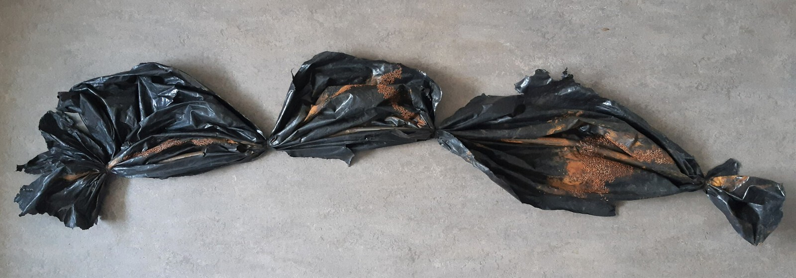 Echte schoonheid zit van binnen VIII