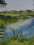 landschap