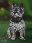 dieren
