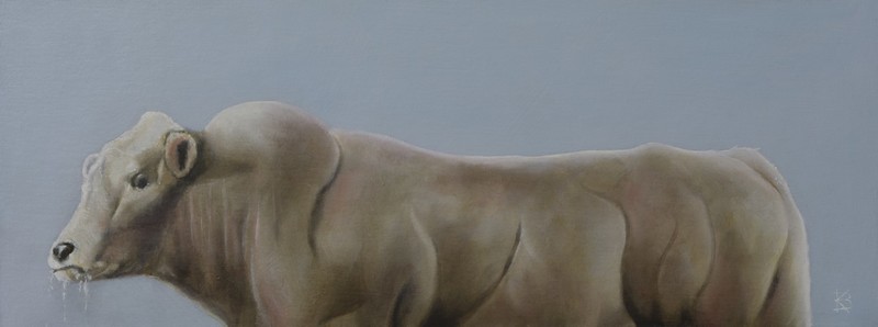 Vleselijk ongenoegen