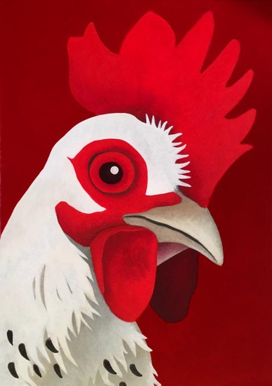 Portret van een kip