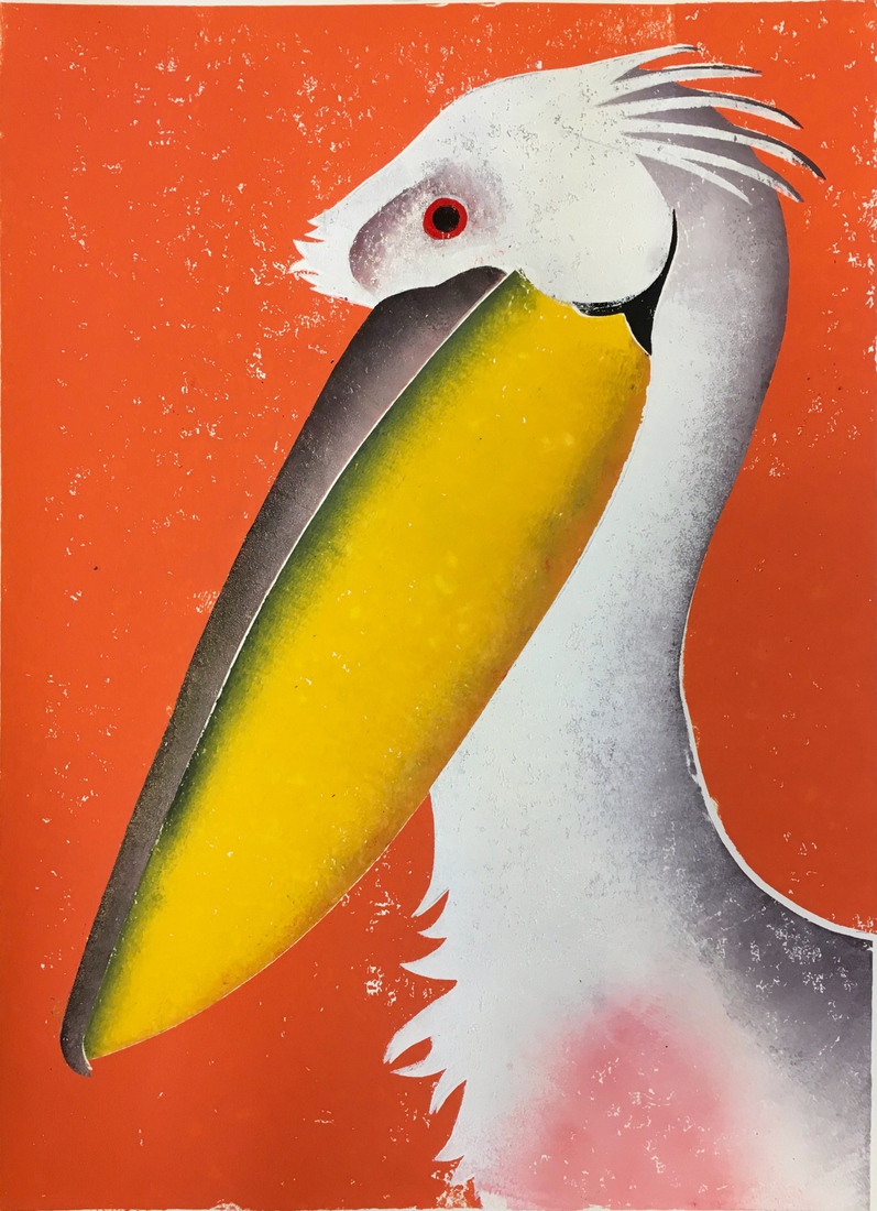 Portret van een pelikaan
