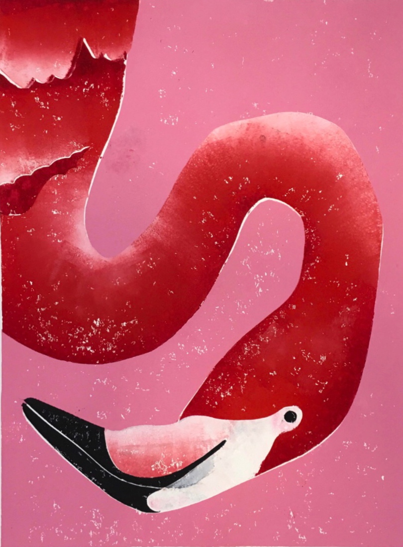 Portret van een flamingo met de kop omlaag