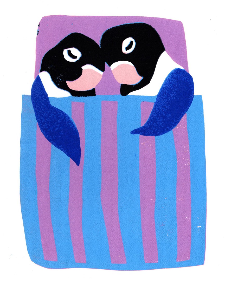 Love birds
