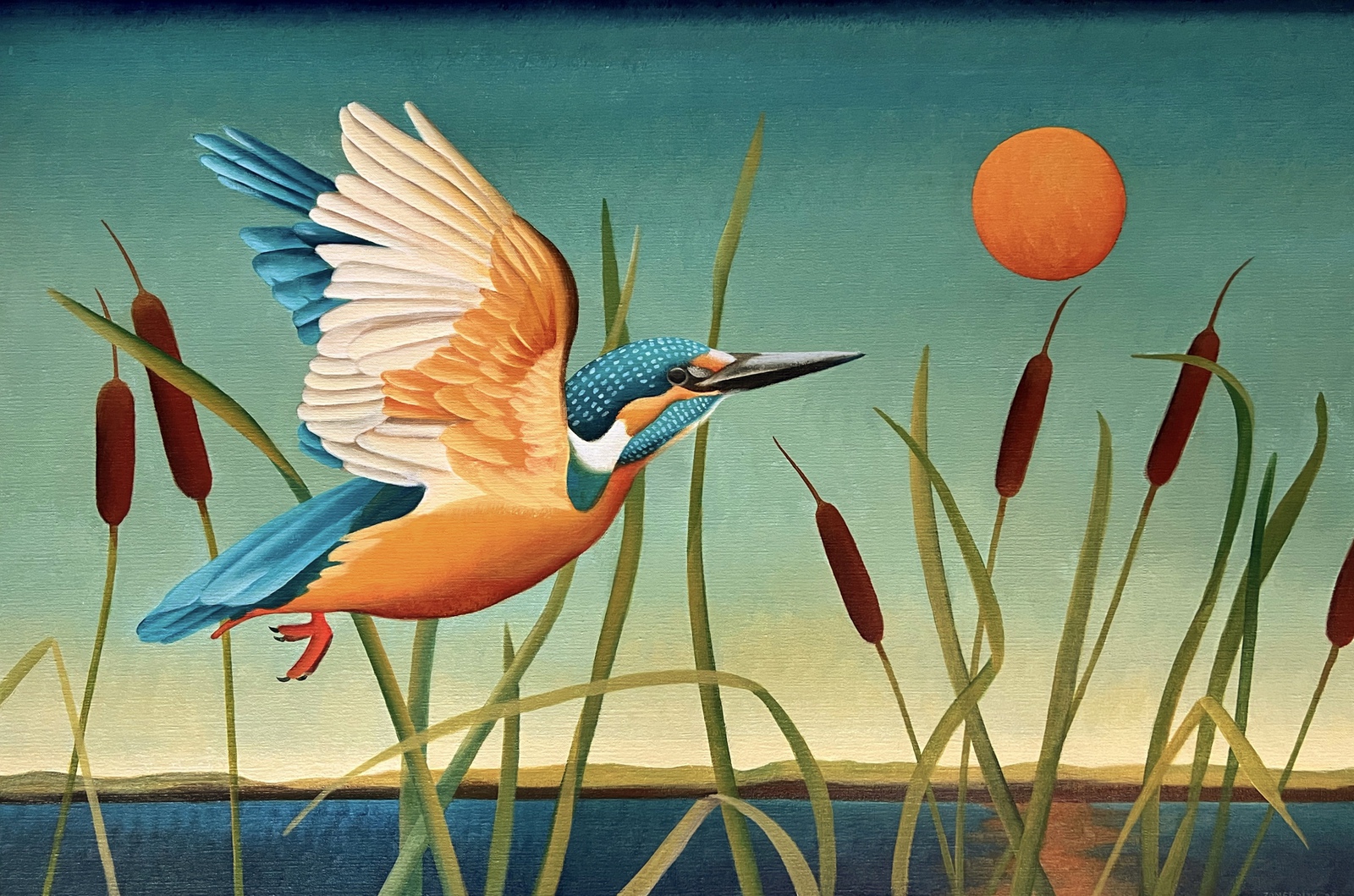 IJsvogel in ‘t riet