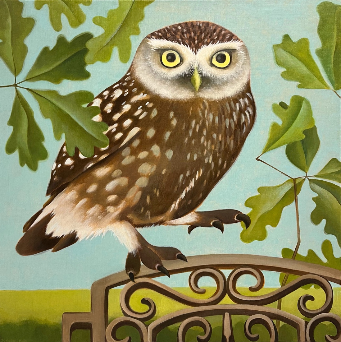 Steenuiltje op smeedijzeren hek