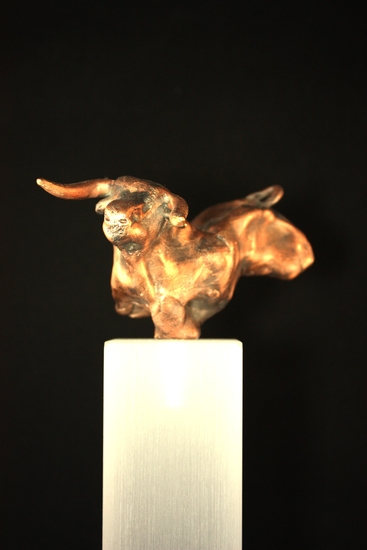 Taurus Passionata (3) ©