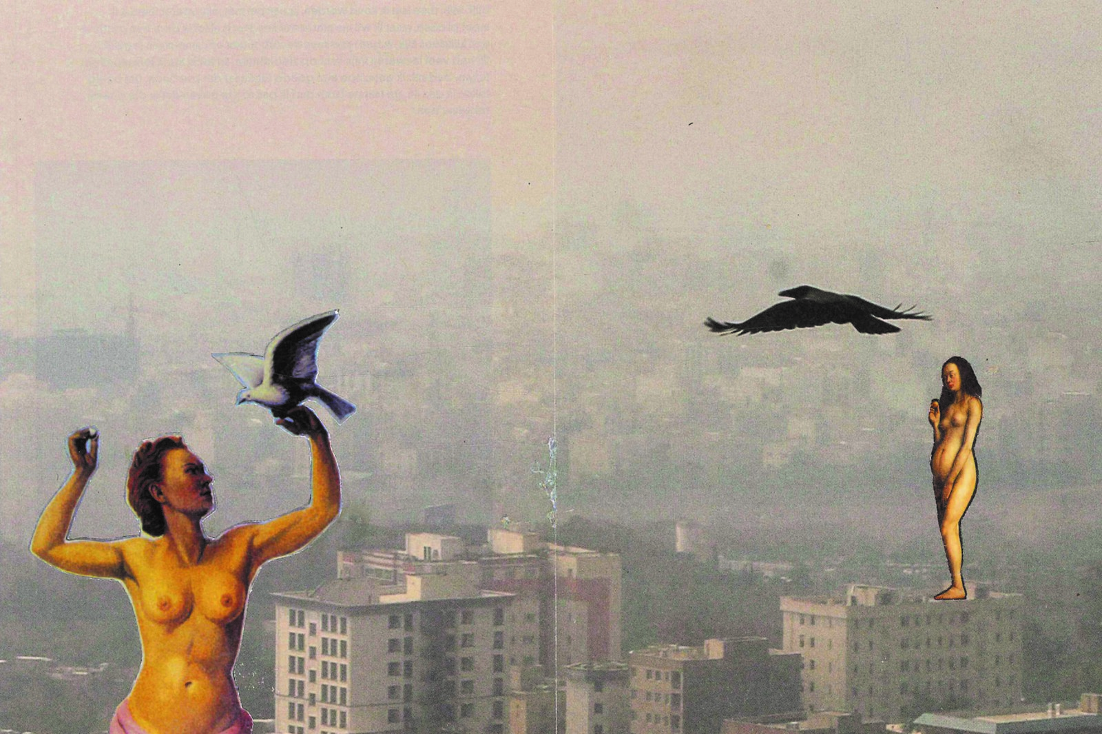 Vrouwen en hun vogels