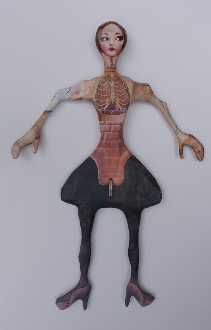 Skeletborst - metamorfa