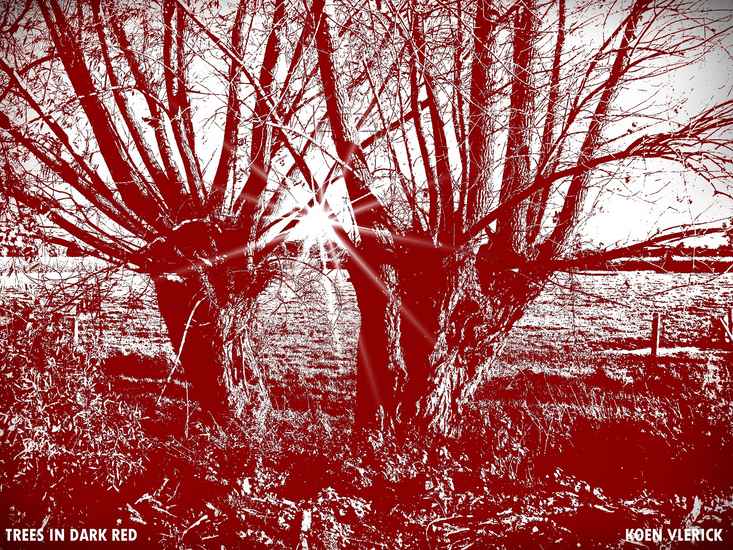 TREES IN DARK RED