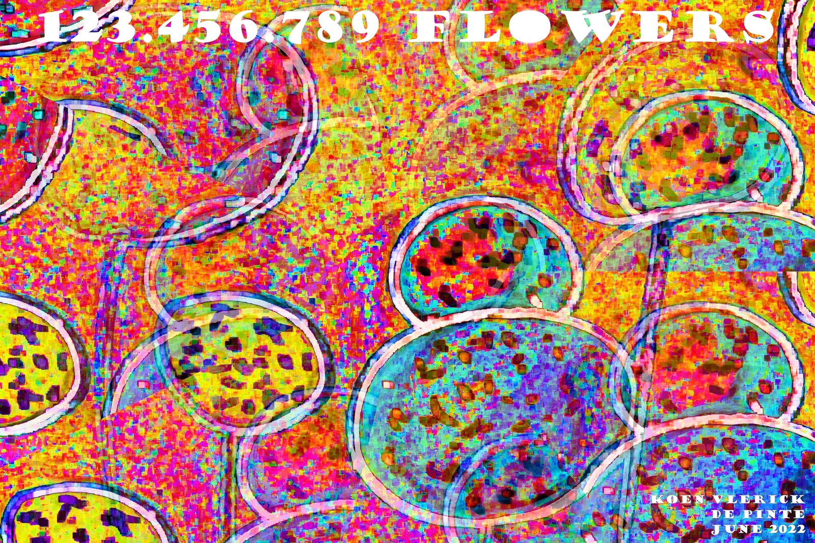 123.456.789 FLOWERS
