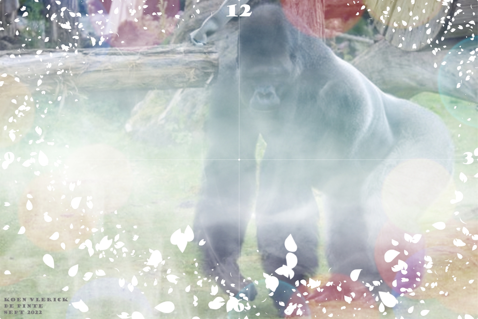 CARA VITA NE DERELINQUAS ME