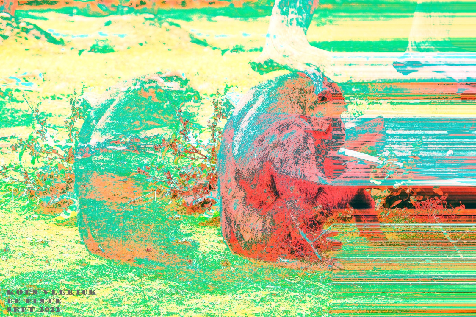 ZELFPORTRET IN DE ZON