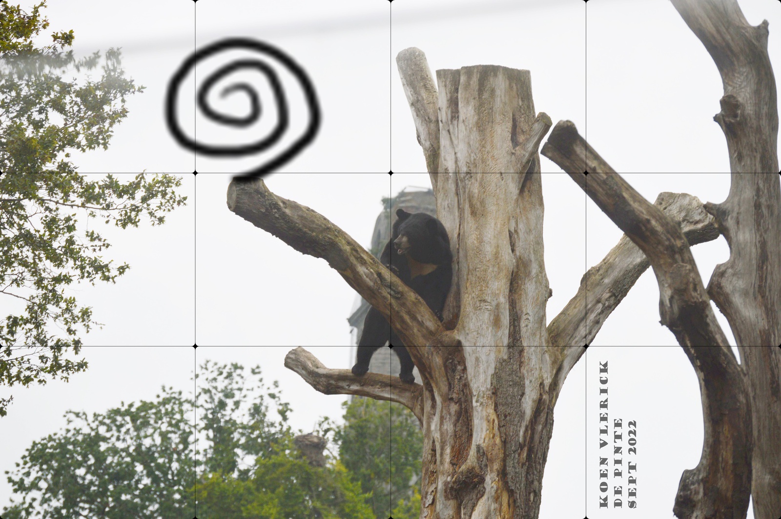 JUNGLE ME JUNGLE YOU