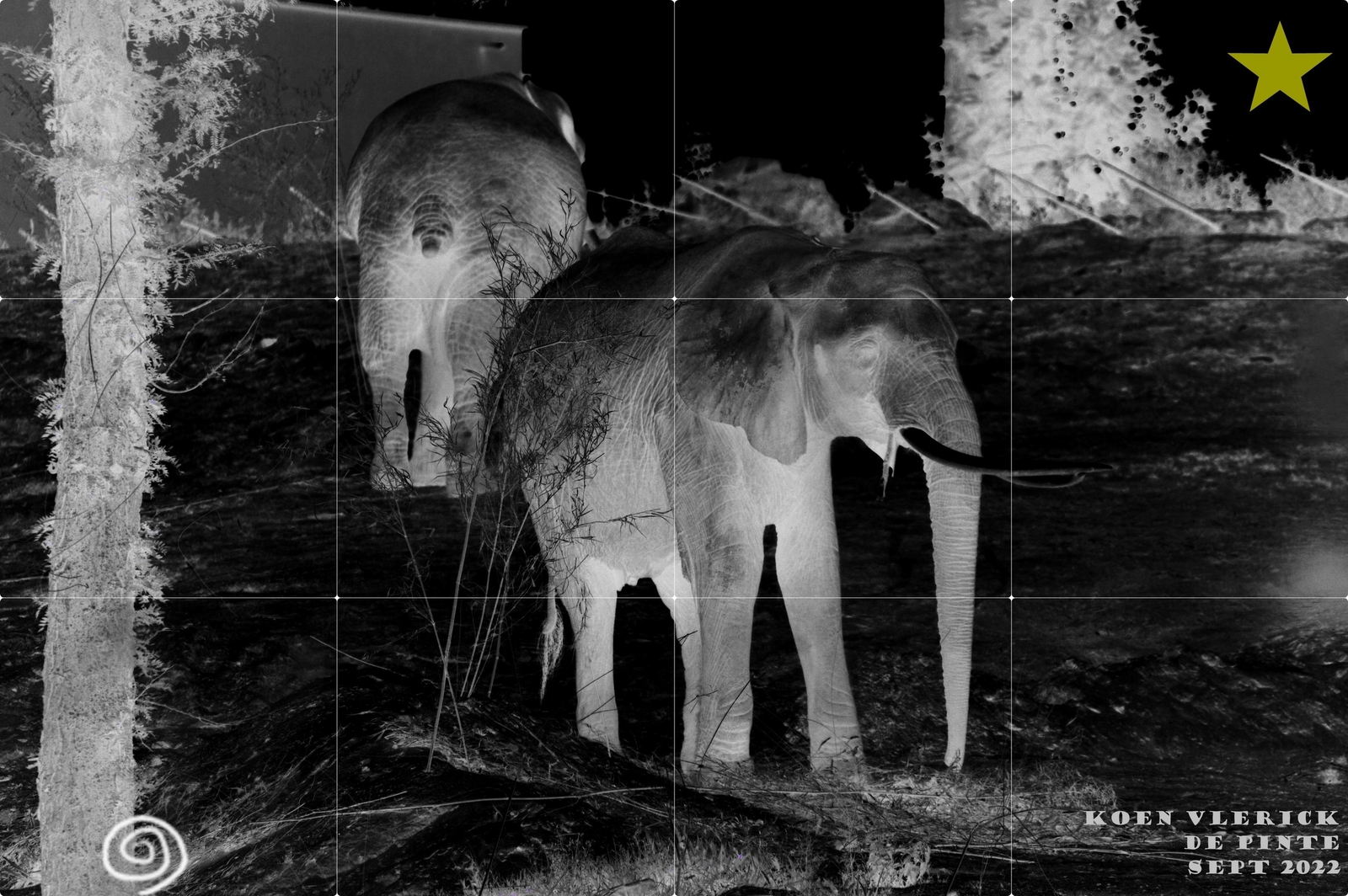 IK FLUISTER IN UW OOR IK GEEF IN U HET LEVEN DOOR