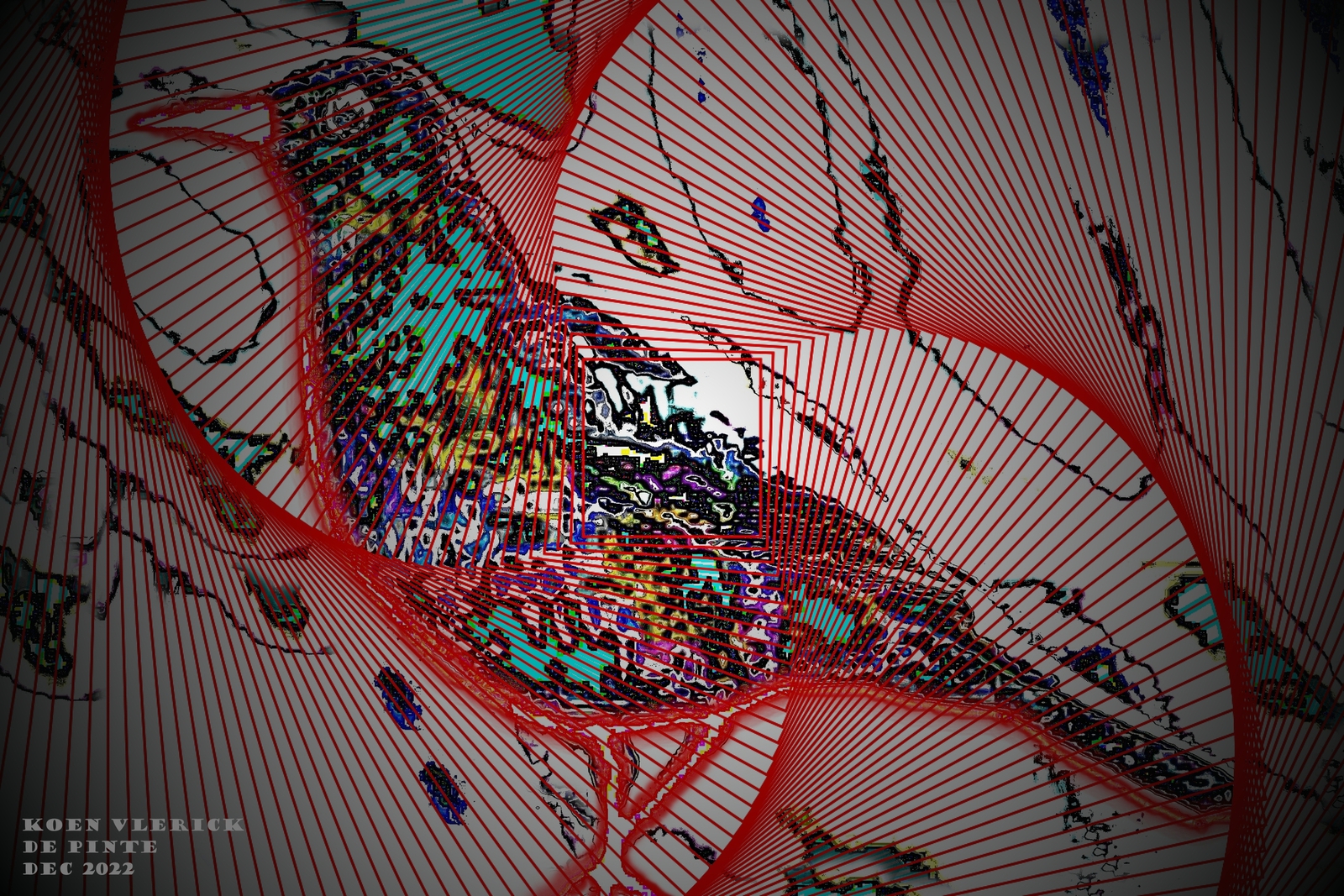 I'M YOUR DIGITAL BIRD