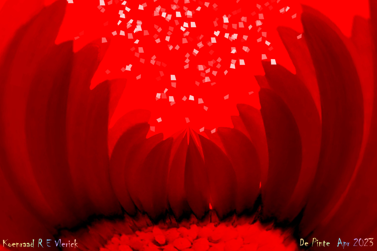 THANKS FOR THE FLOWERS