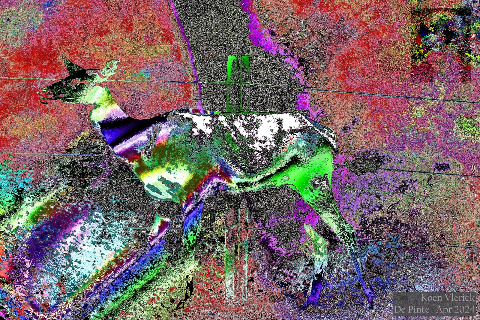 ANIMAL YOU ANIMAL ME