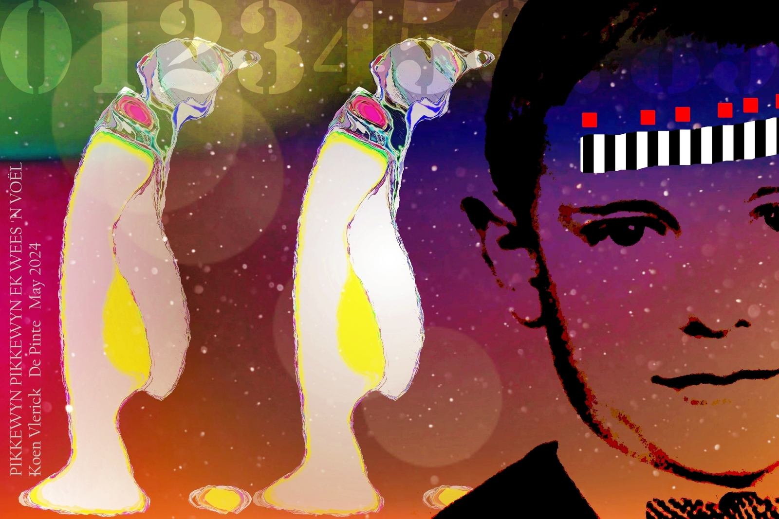 PIKKEWYN PIKKEWYN EK WEES 'N VOËL