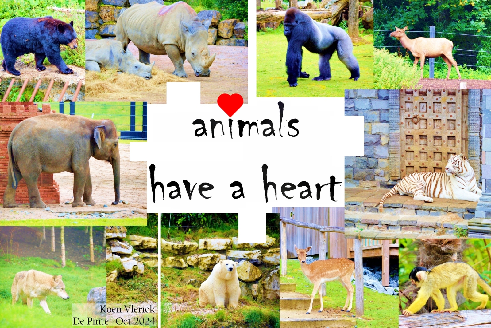 WORLD ANIMAL DAY - OCTOBER 4