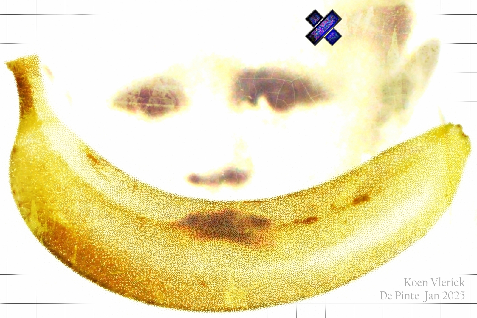 ER IS EEN TELEFONISCH BOD VAN 2 BANANEN & 1 EI