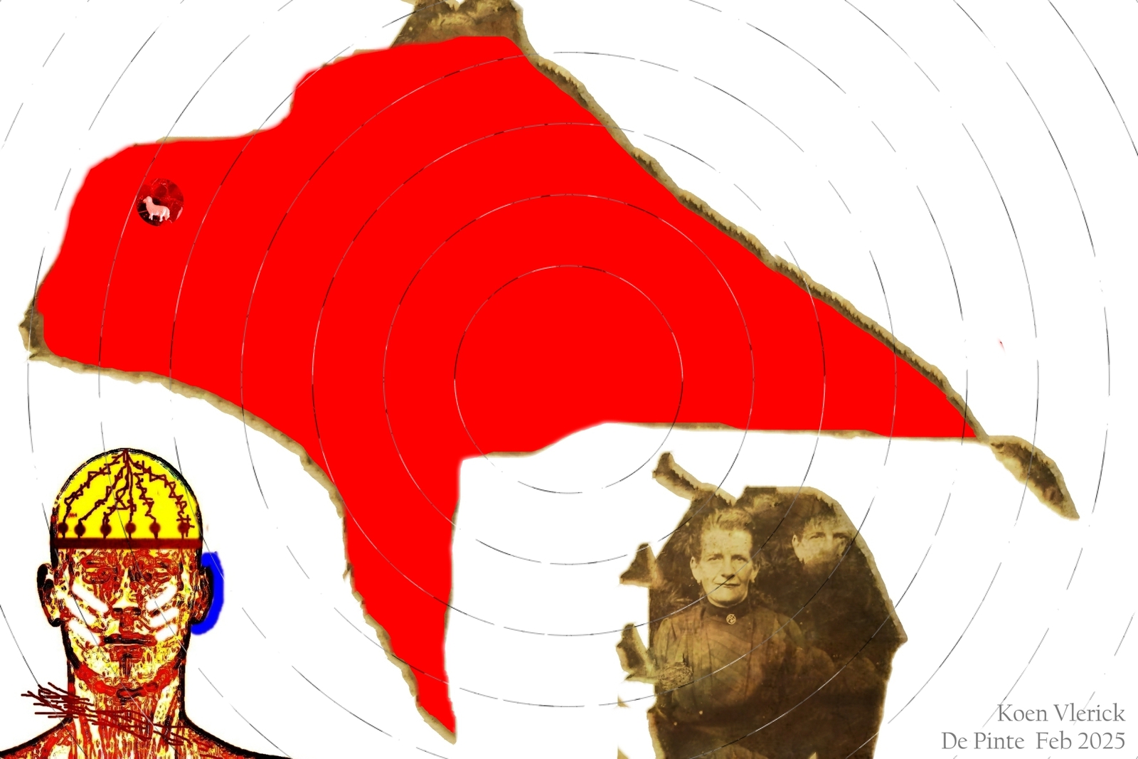 A RED DRONE IS FLYING OVER FLANDERS