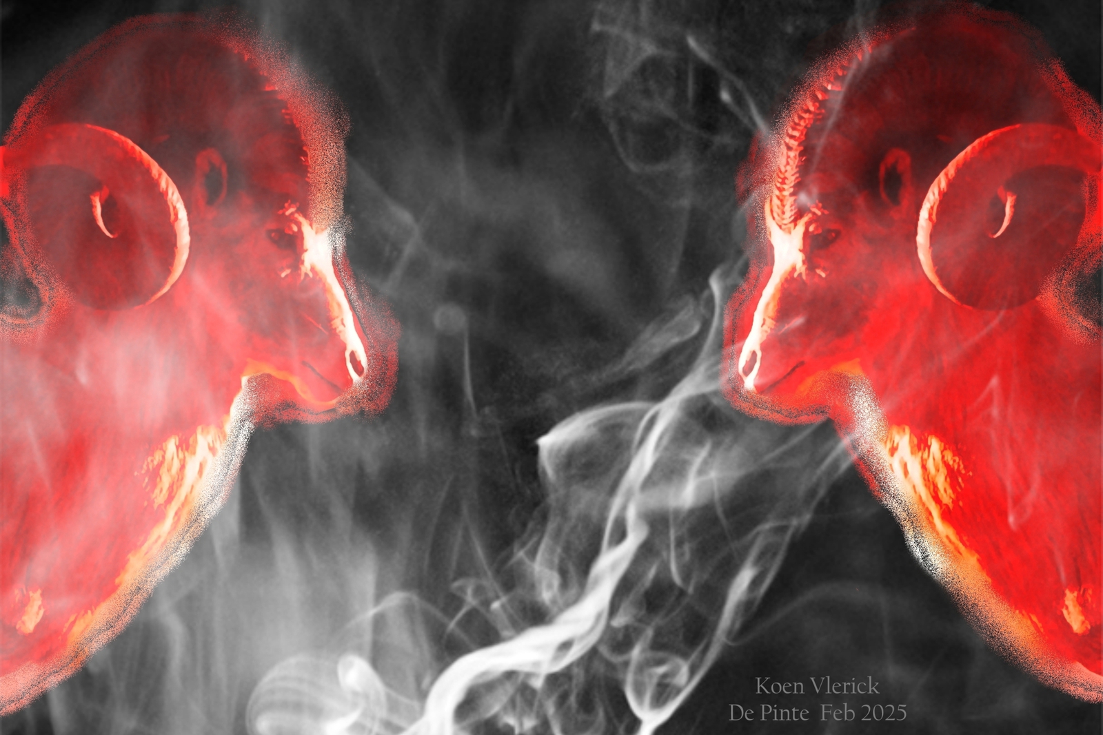 ANIMALS IN THE SMOKE