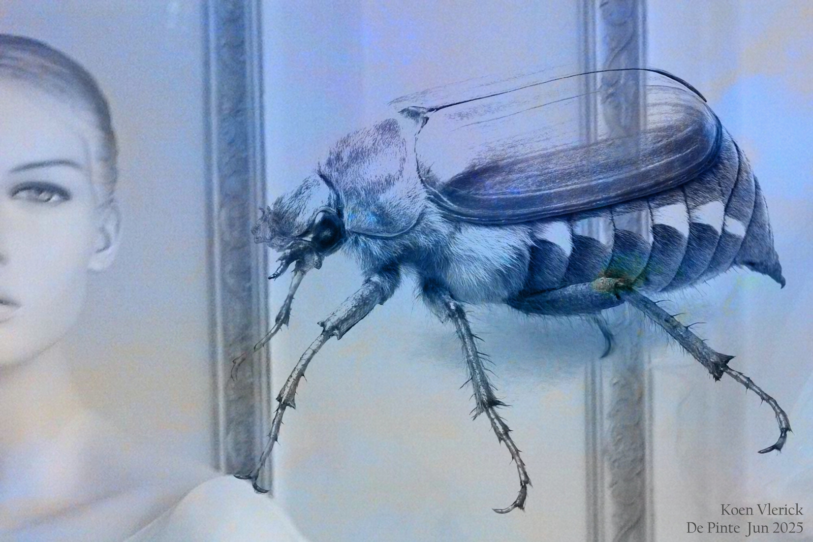 de moeder & de kever - 19 juni 2025