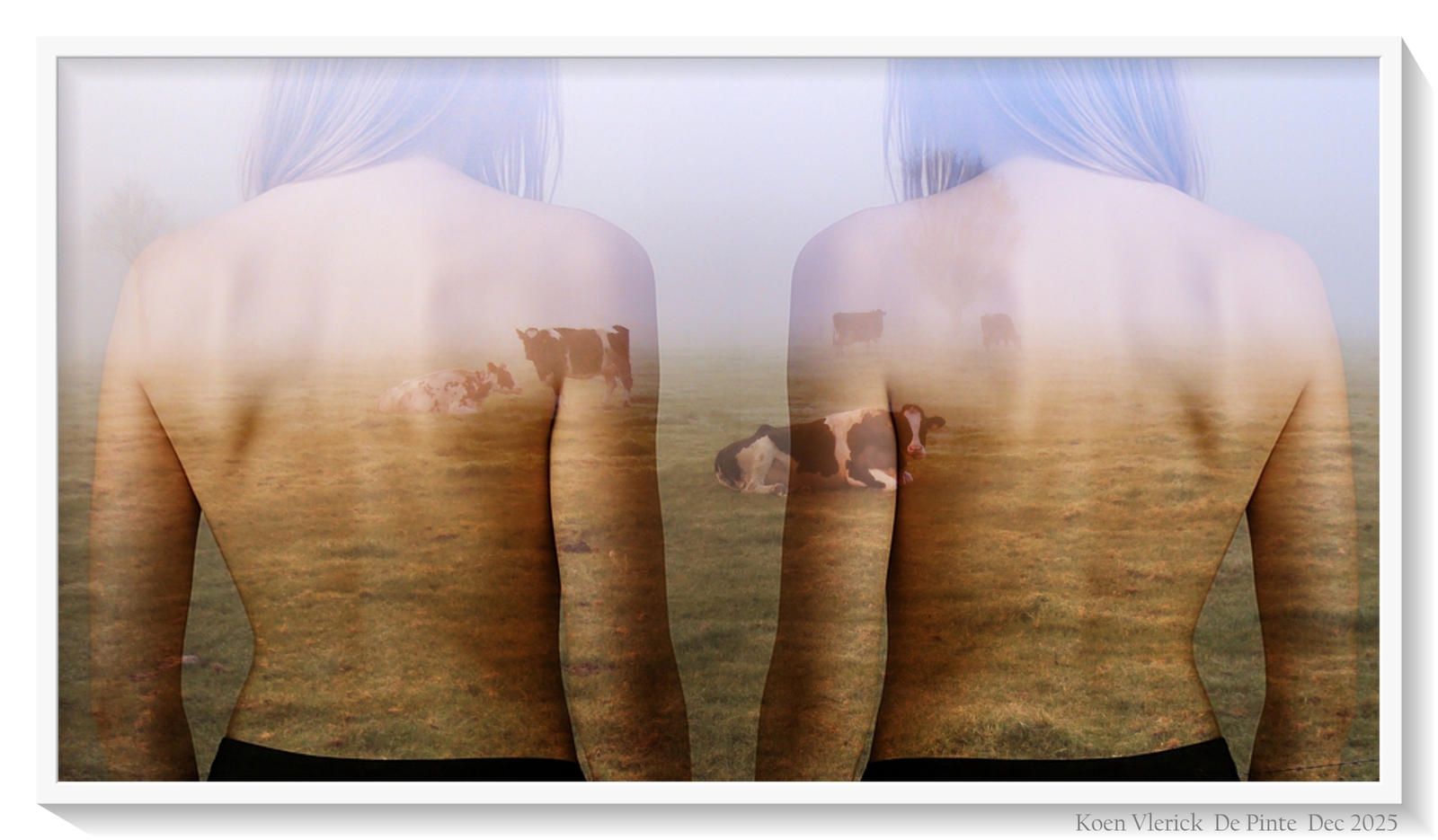 why do people kill animals to eat