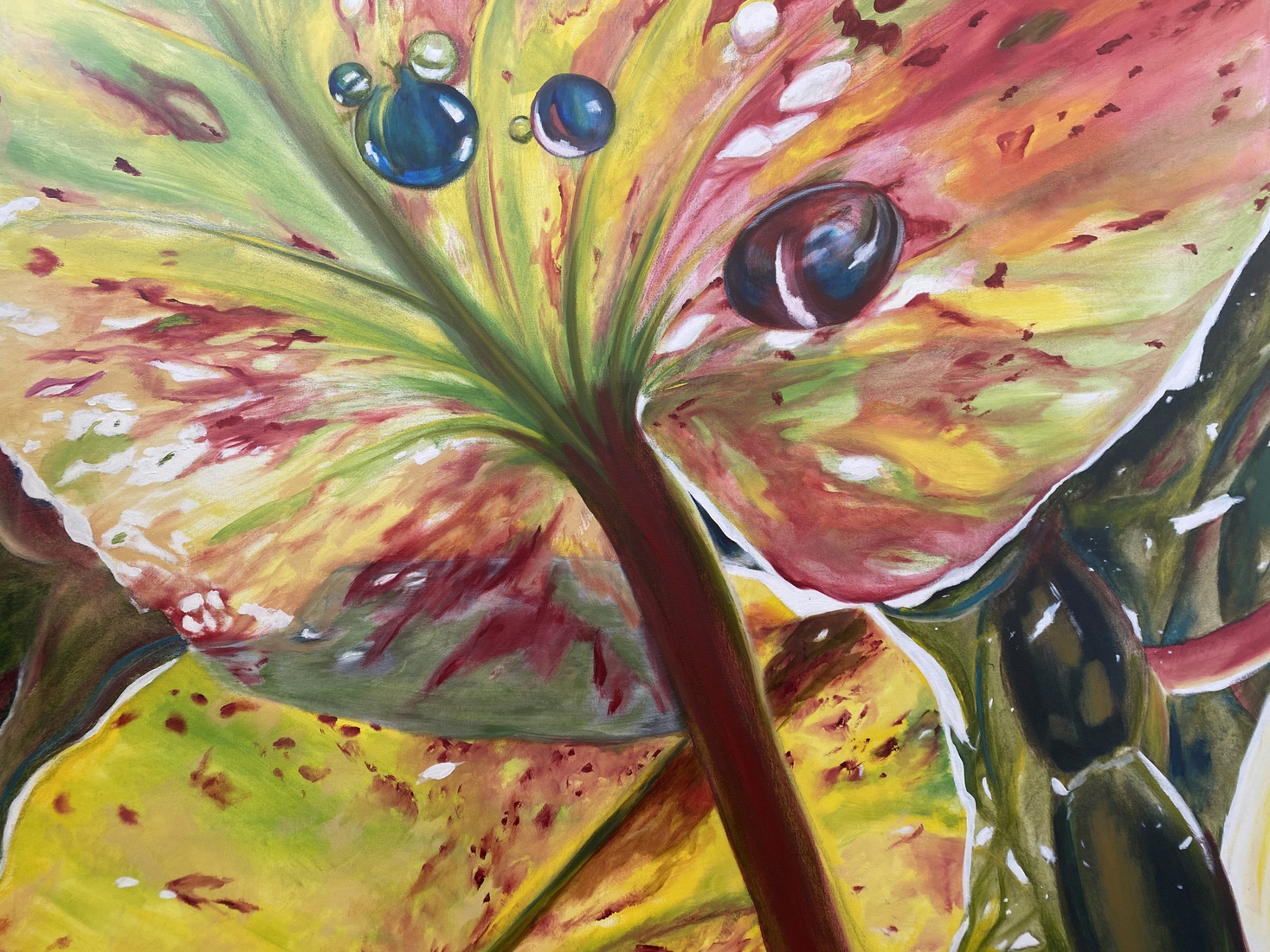 Waterlelie blad onderwater