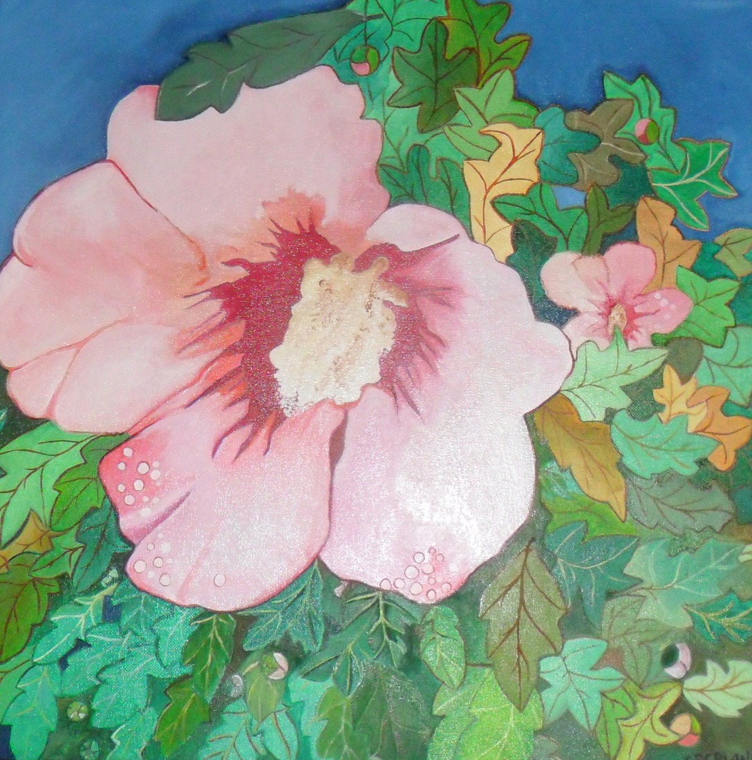 Hibiscus 