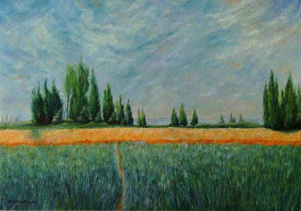 CORNFIELD IN THE PROVENCE