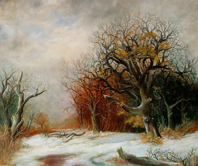 Winterlandschap