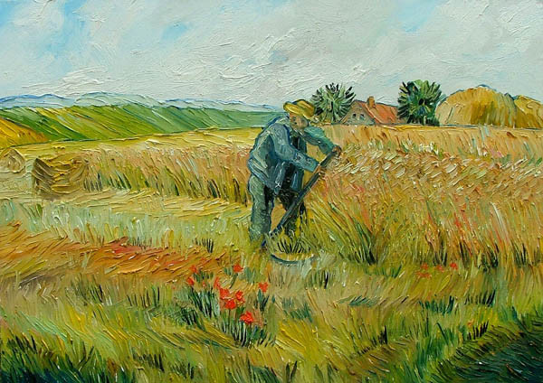 korenveld met maaier