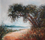 Het landschap in zuidfrankrijk kan me erg boeien en blijft een onuitputtelijke bron voor onderwerpen, waarbij ik vaak getroffen wordt door het licht.