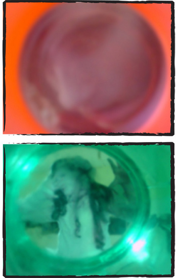 Glass