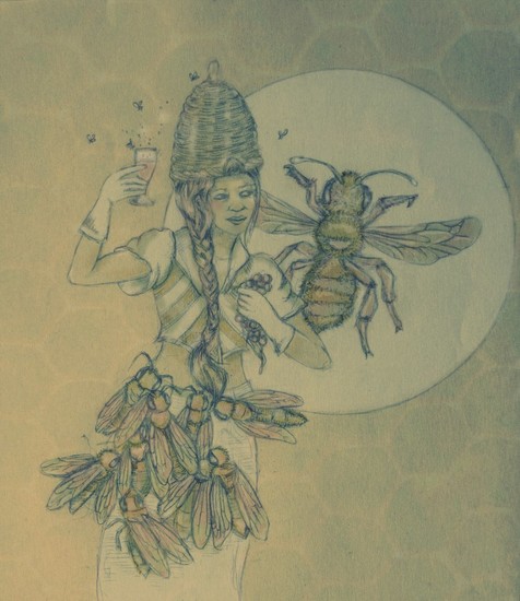 apidae