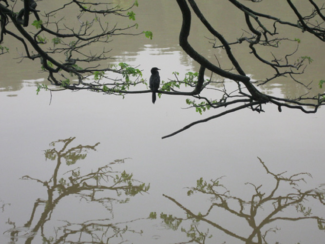kandy lake
