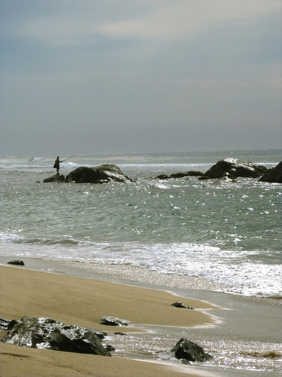 polhena