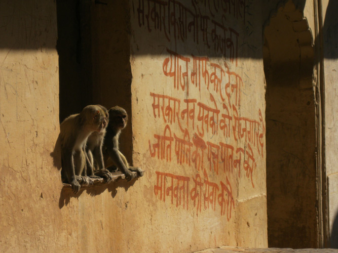 bundi window